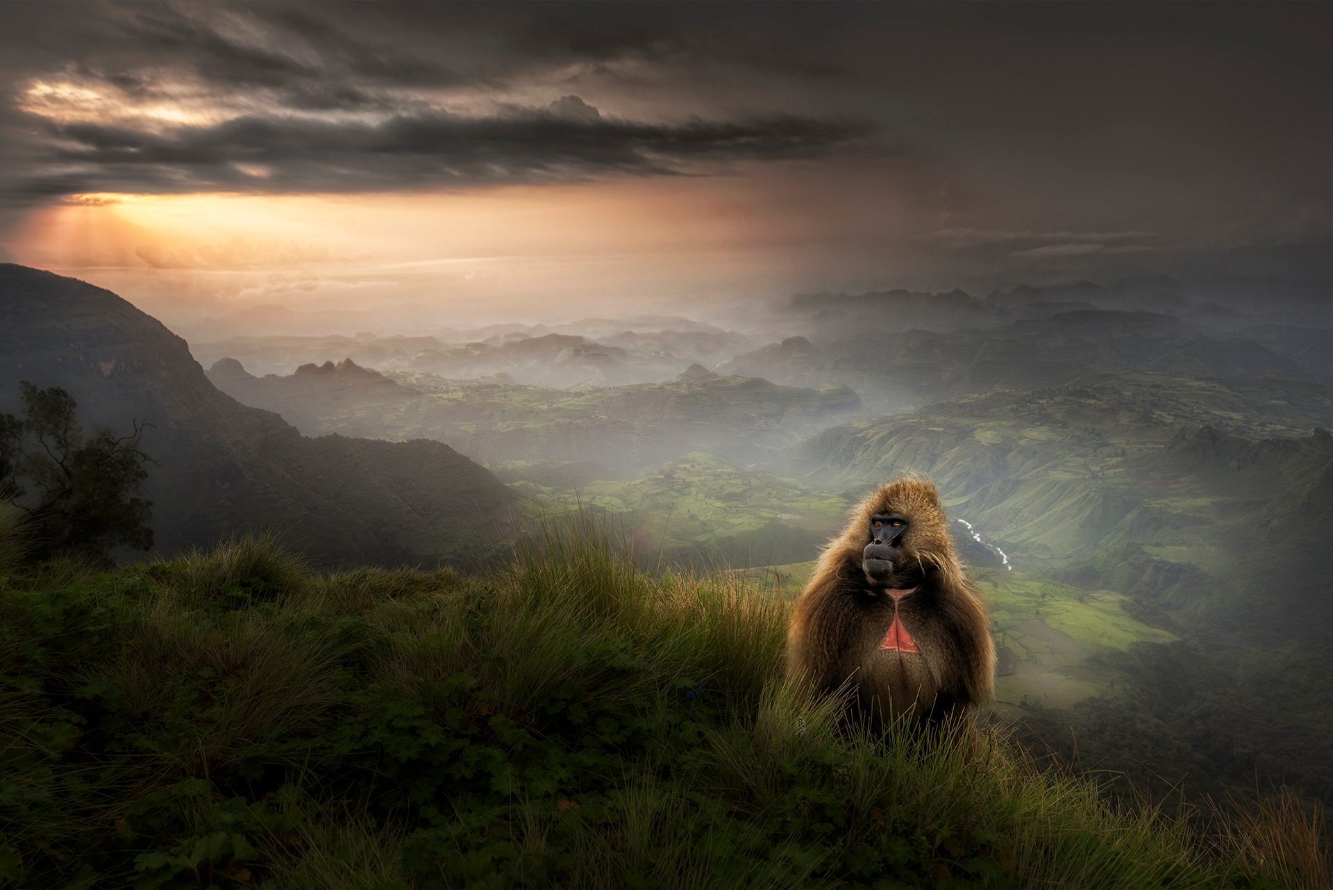 Simien Mountains Landscape